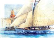 Tigris, devant Saint Tropez