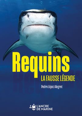 Requins - La fausse légende